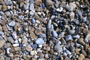 Beach Shingle.13