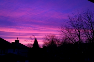 Purple Night Sky.12